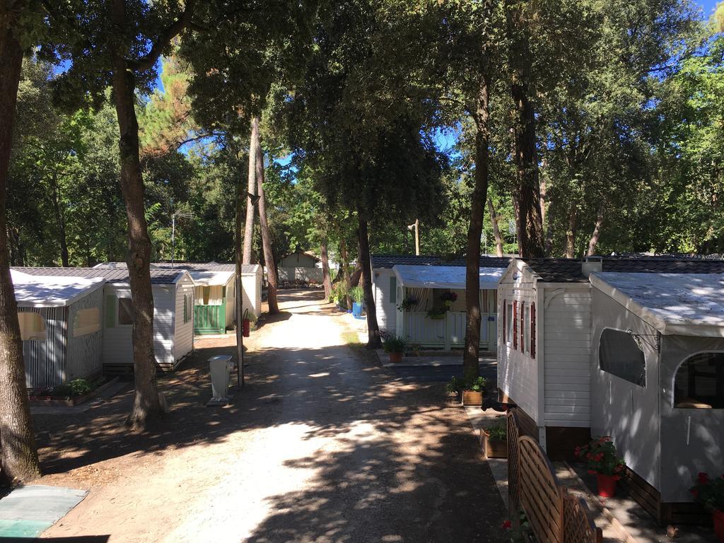 Camping Les Chenes Verts Meschers-sur-Gironde Εξωτερικό φωτογραφία
